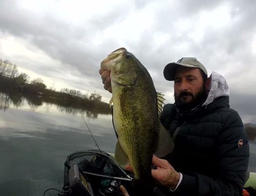 Bass Fishing in inverno